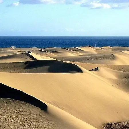Nectarina Maspalomas