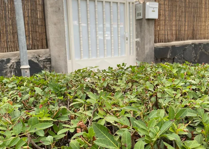 Feriehus Nectarina Maspalomas San Bartolomé