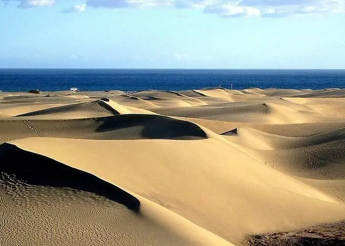 Nectarina Maspalomas